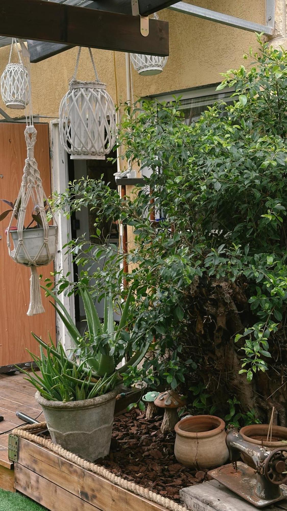Dream House Art Hostel Garden And Terrace Haifa Exterior foto
